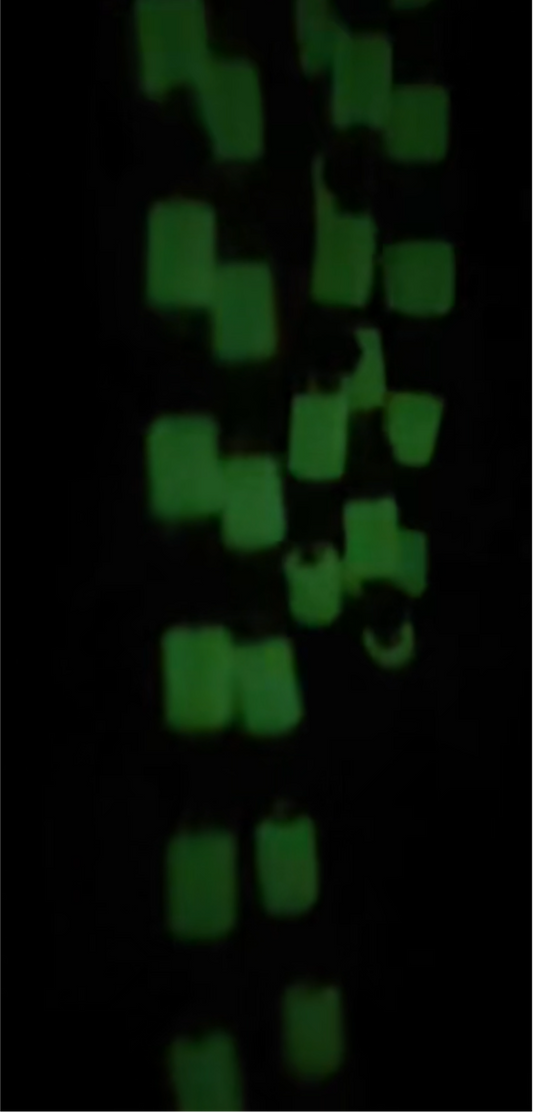 Yeah Glow!